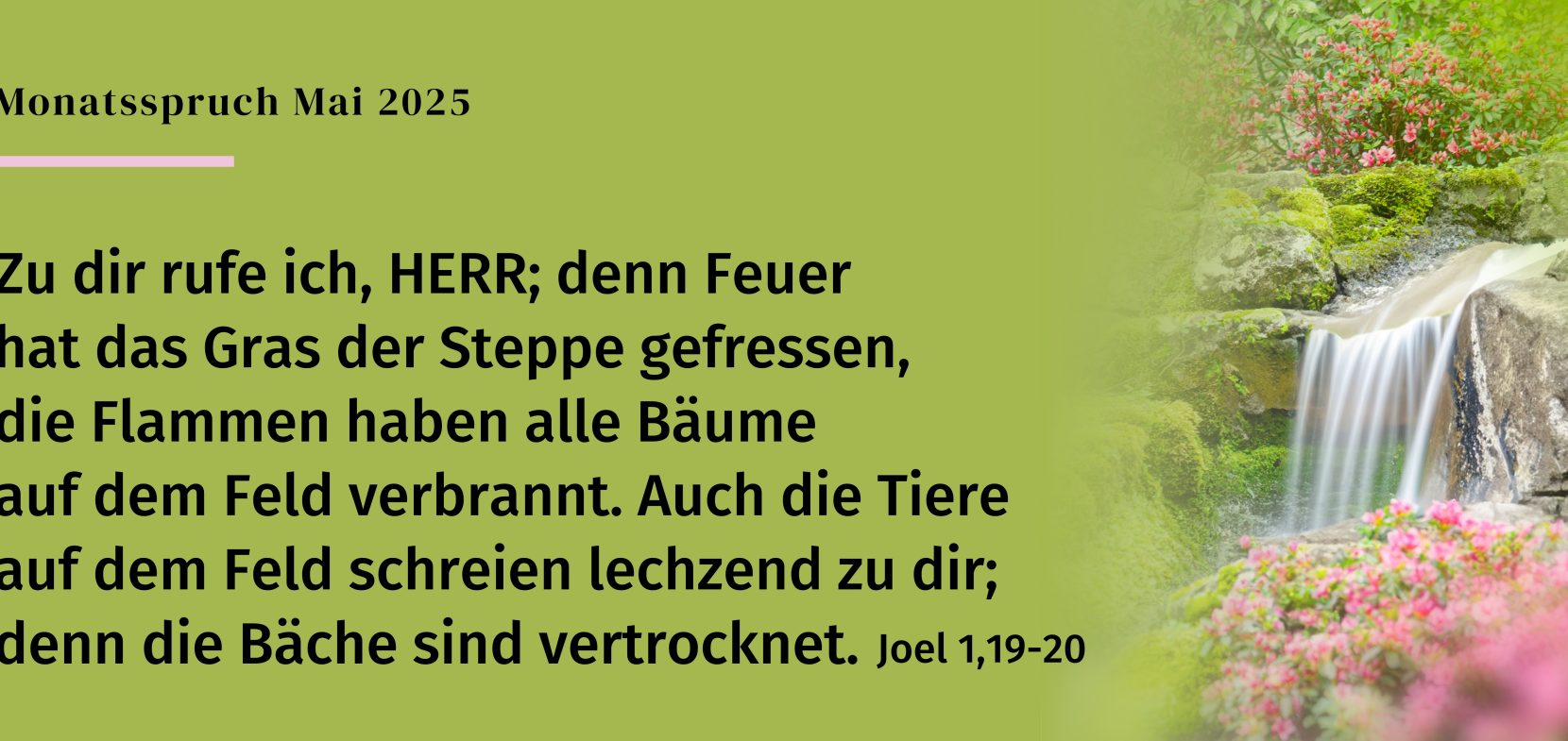 Monatsspruch
